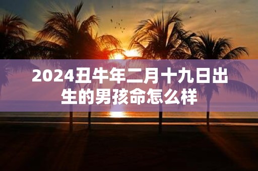 2025丑牛年二月十九日出生的男孩命怎么样
