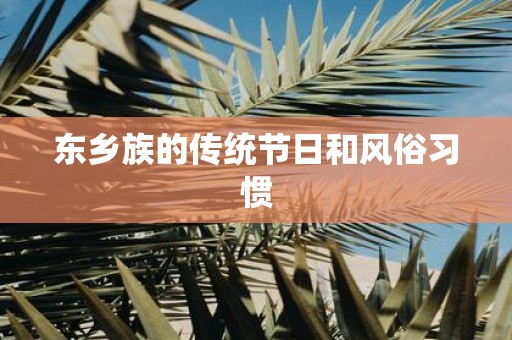东乡族的传统节日和风俗习惯