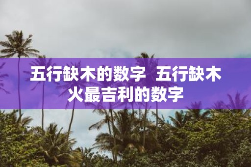 五行缺木的数字 五行缺木火最吉利的数字