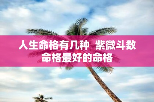 人生命格有几种 紫微斗数命格最好的命格