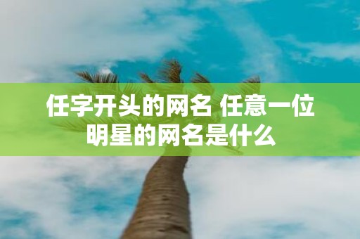 任字开头的网名 任意一位明星的网名是什么