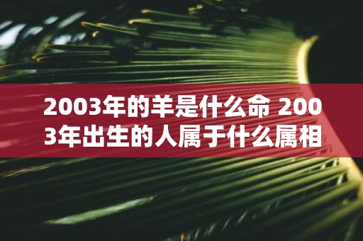 2003年的羊是什么命 2003年出生的人属于什么属相