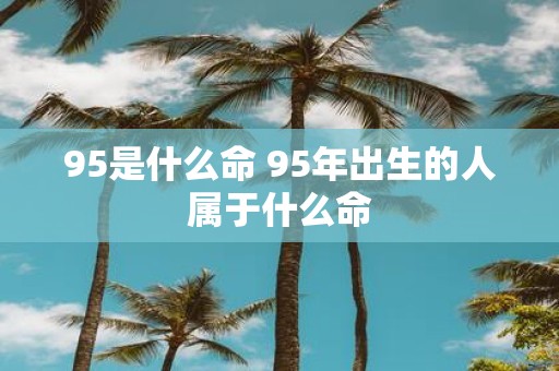 95是什么命 95年出生的人属于什么命