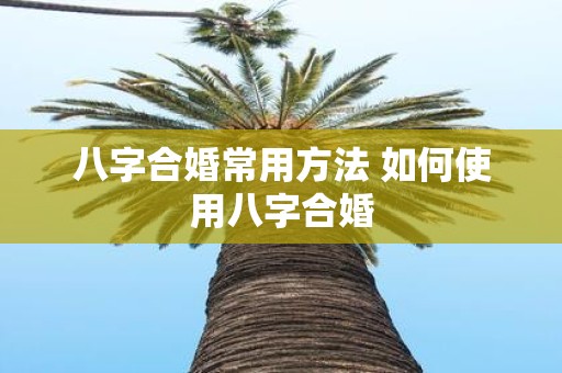 八字合婚常用方法 如何使用八字合婚