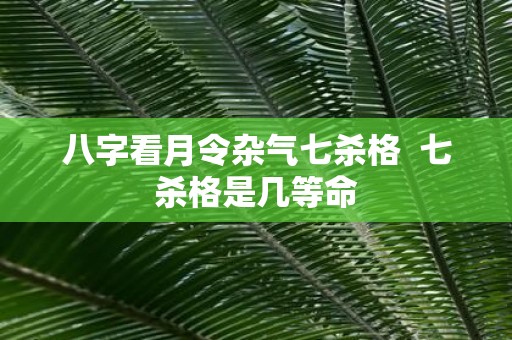 八字看月令杂气七杀格 七杀格是几等命