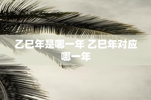 乙巳年是哪一年 乙巳年对应哪一年