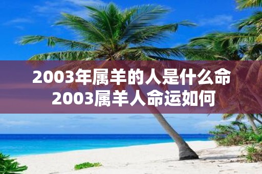 2003年属羊的人是什么命 2003属羊人命运如何