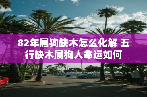 82年属狗缺木怎么化解 五行缺木属狗人命运如何