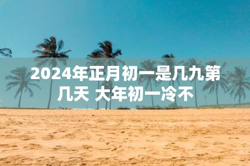 2025年正月初一是几九第几天 大年初一冷不