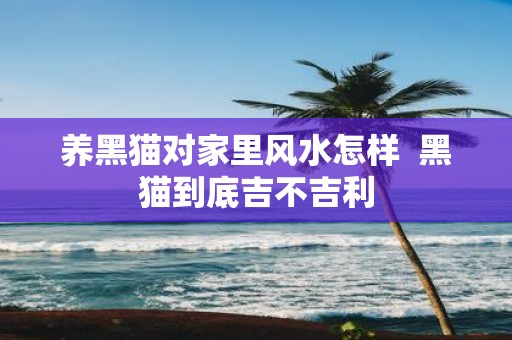 养黑猫对家里风水怎样 黑猫到底吉不吉利