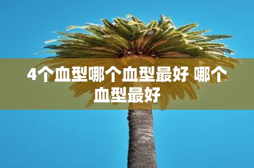 4个血型哪个血型最好 哪个血型最好