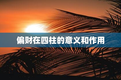 偏财在四柱的意义和作用