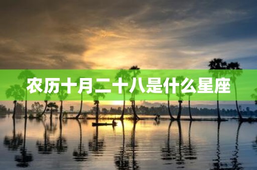 农历十月二十八是什么星座