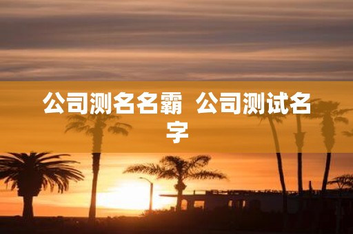 公司测名名霸 公司测试名字