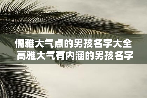 儒雅大气点的男孩名字大全 高雅大气有内涵的男孩名字