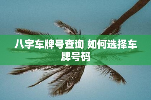 八字车牌号查询 如何选择车牌号码