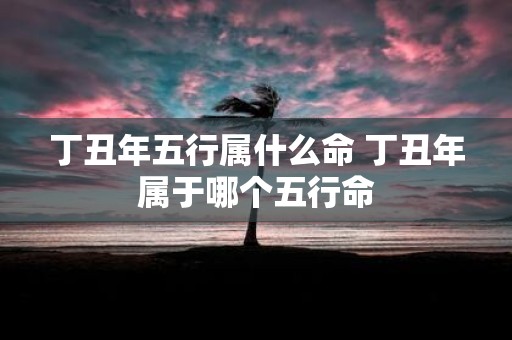 丁丑年五行属什么命 丁丑年属于哪个五行命