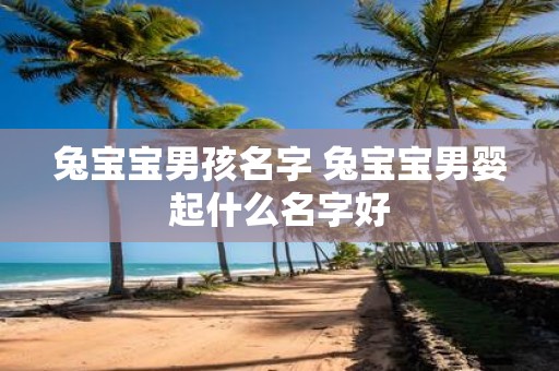 兔宝宝男孩名字 兔宝宝男婴起什么名字好