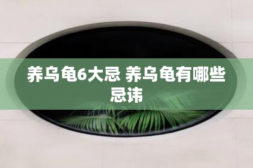 养乌龟6大忌 养乌龟有哪些忌讳