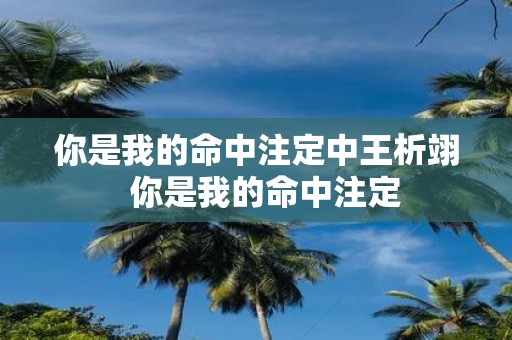 你是我的命中注定中王析翊 你是我的命中注定