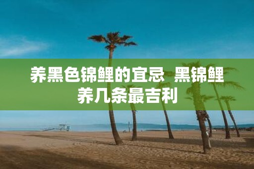 养黑色锦鲤的宜忌 黑锦鲤养几条最吉利