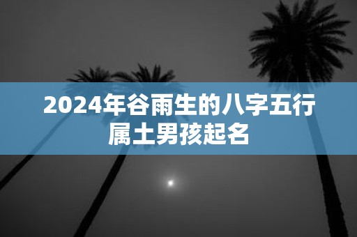 2025年谷雨生的八字五行属土男孩起名