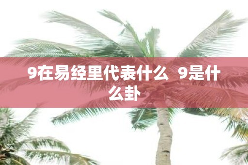 9在易经里代表什么 9是什么卦
