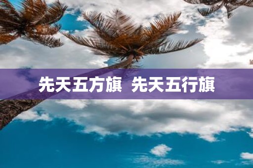 先天五方旗 先天五行旗