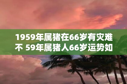 1959年属猪在66岁有灾难不 59年属猪人66岁运势如何