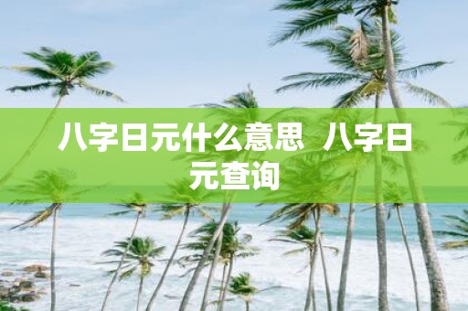 八字日元什么意思 八字日元查询