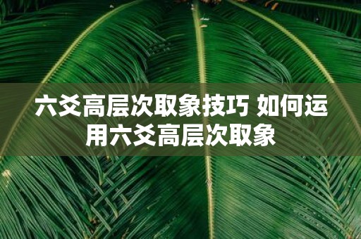 六爻高层次取象技巧 如何运用六爻高层次取象