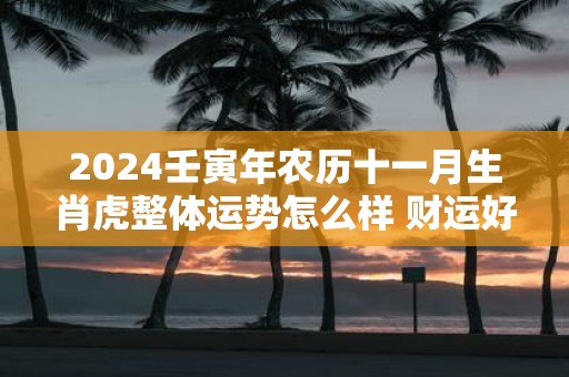 2025壬寅年农历十一月生肖虎整体运势怎么样 财运好不好