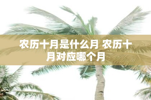 农历十月是什么月 农历十月对应哪个月
