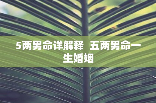 5两男命详解释 五两男命一生婚姻