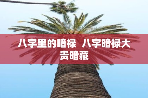 八字里的暗禄 八字暗禄大贵暗藏