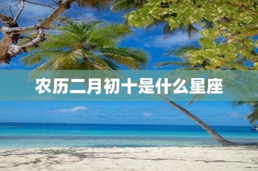 农历二月初十是什么星座