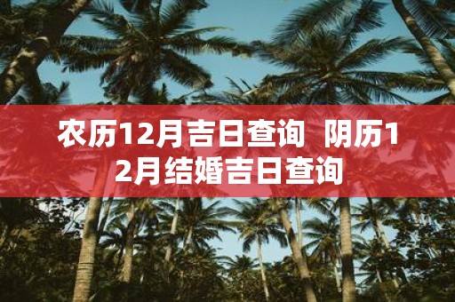 农历12月吉日查询 阴历12月结婚吉日查询