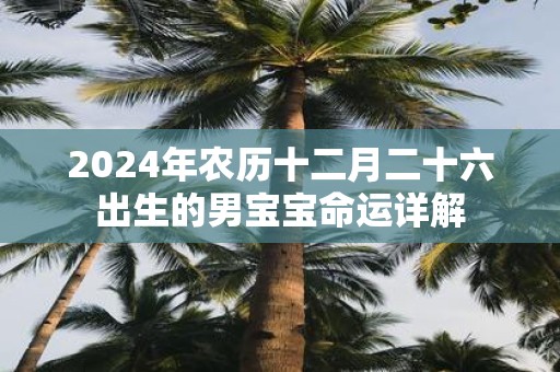 2025年农历十二月二十六出生的男宝宝命运详解