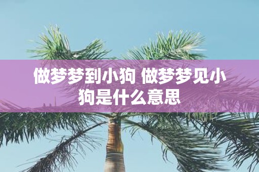 做梦梦到小狗 做梦梦见小狗是什么意思