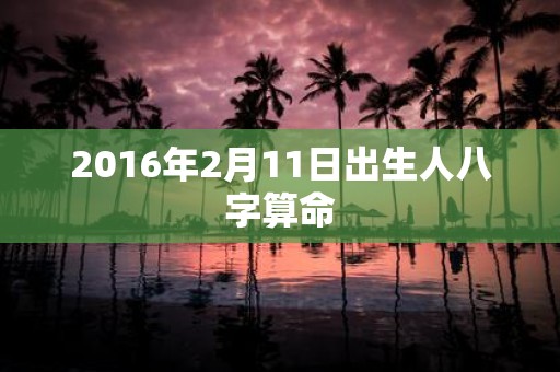 2016年2月11日出生人八字算命
