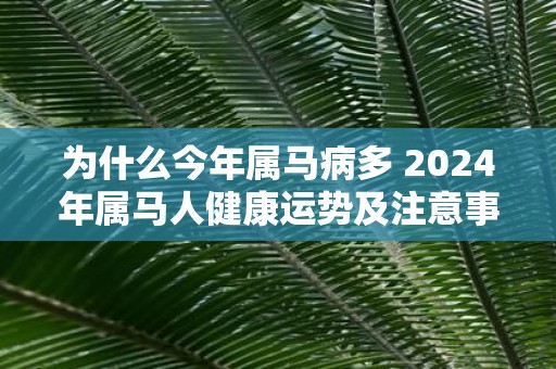 为什么今年属马病多 2025年属马人健康运势及注意事项