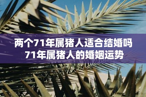 两个71年属猪人适合结婚吗 71年属猪人的婚姻运势