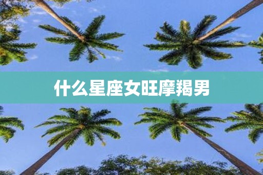 什么星座女旺摩羯男