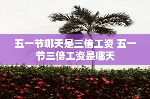 五一节哪天是三倍工资 五一节三倍工资是哪天