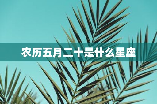 农历五月二十是什么星座