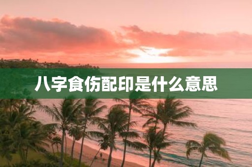 八字食伤配印是什么意思