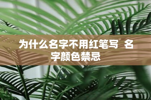 为什么名字不用红笔写 名字颜色禁忌