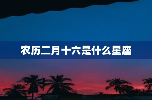 农历二月十六是什么星座
