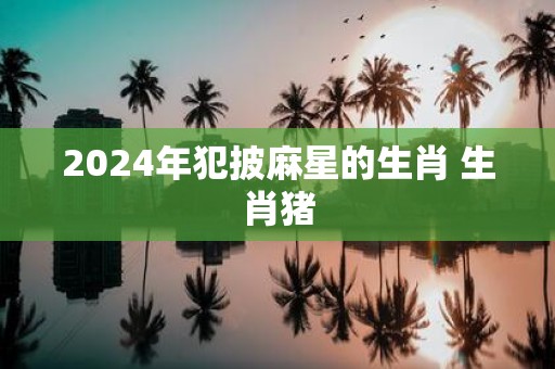2025年犯披麻星的生肖 生肖猪