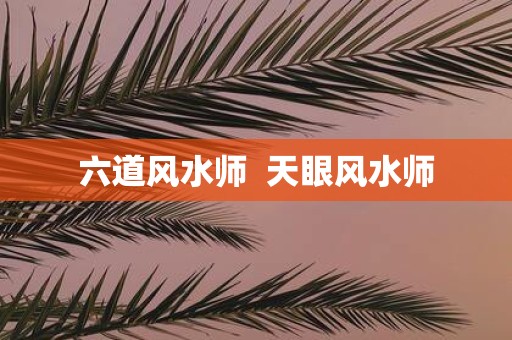 六道风水师 天眼风水师